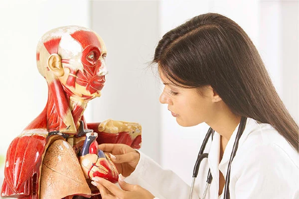 ¿Donde estudiar medicina en Lima?
